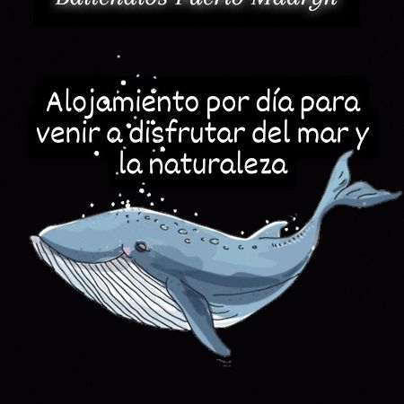 Ballenatos Madryn Puerto Madryn Luaran gambar